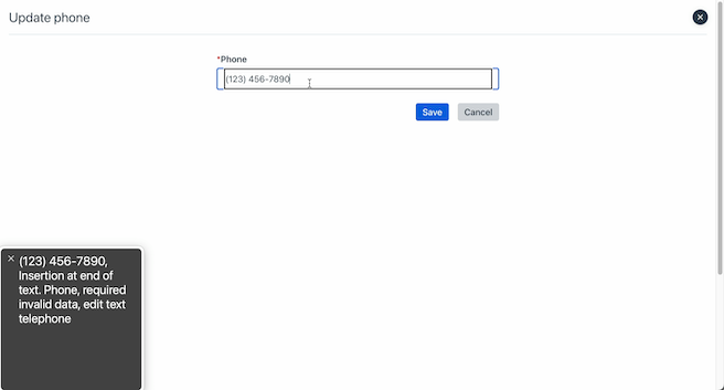 Bidx “Update phone” overlay with screen reader output reading “(123) 456-7890, Insertion at end of text. Phone, required invalid data, edit text telephone”. The input box labeled “phone” is highlighted with content “(123) 456-7890” and has an orange asterisk next to its label